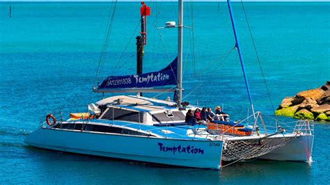 Temptation cruise adelaide - Introduction. ‘Temptation’ is a 58-foot sailing catamaran operating only 15 minutes from Adelaide’s CBD. Temptation Sailing offers a variety of products including Wild Dolphin …